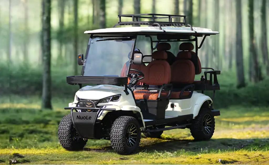 4 seater golf cart