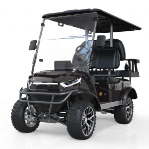 4 passenger golf cart